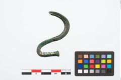 Foto von Bronzesiedefleischhaken (NHMW-PRAE-024475)